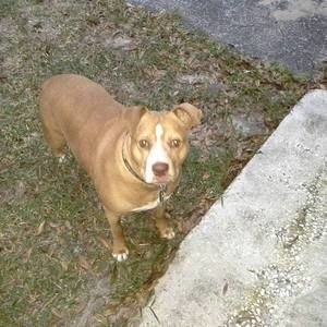 Meet your Posher, Lee